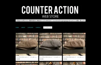 COUNTER ACTION WEB-STORE