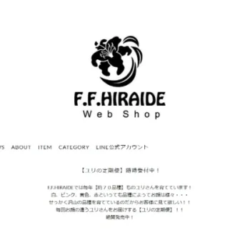 F・F・HIRAIDE web shop